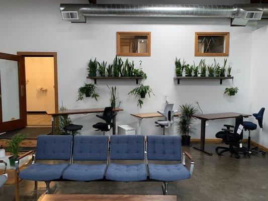 We can outfit your entire home office, with seating, sit-stand desks, and amazing plants from Little Roots PDX.