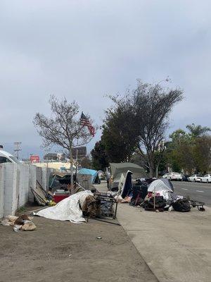 The dirt area between the wall and sidewalk is Smart & Final's property. They do nothing to keep it clean and safe for their customers.