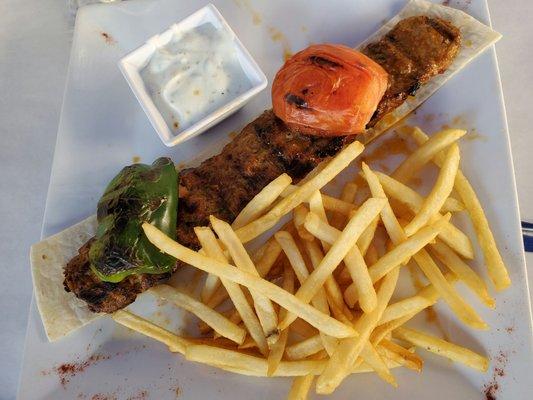 Adana kebab and fries, obviously not fresh, definitely reheated.