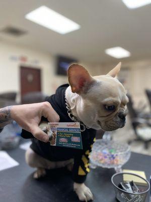 "Tell your friends!" -office dog