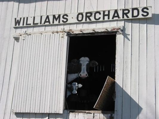 The front of the barn when you drive in.