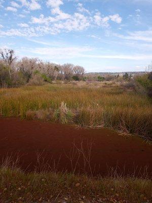 Pond on Willow Creek