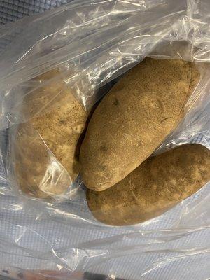 huge potatoes