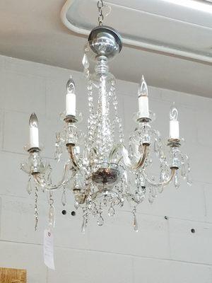 Many beautiful chandeliers in the shop.