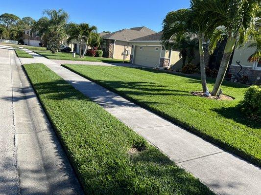 Abaco lawn care.