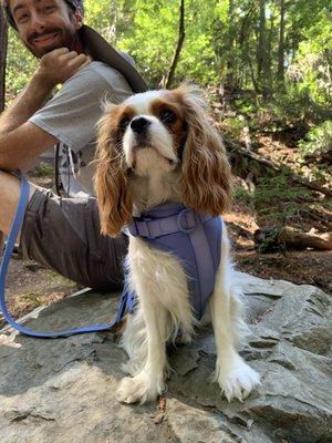 Matilda enjoying the views.