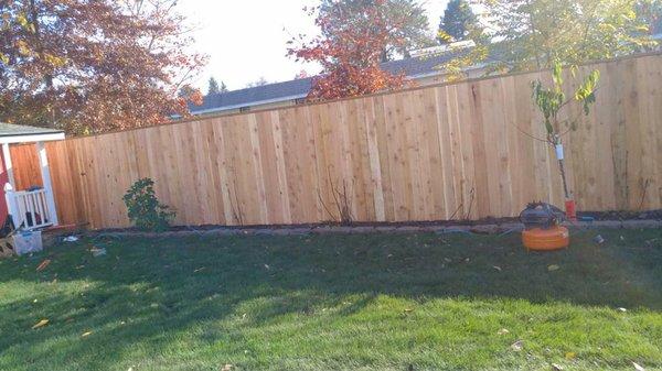 Fence