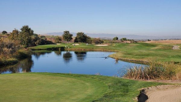 Par 3 from the tee box.