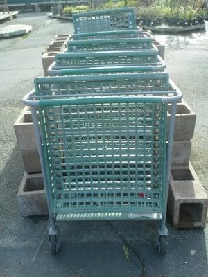 Summer Winds Nursery Shopping Carts, Sunnyvale, CA.