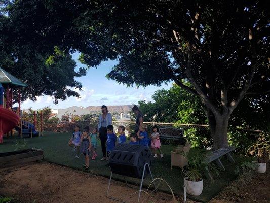 the outdoor playground under the trees