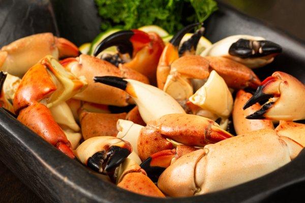 Patas Stone Crab