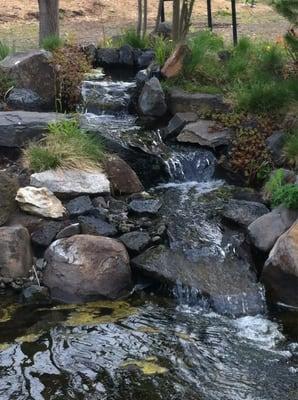 They have a cool pond on site.