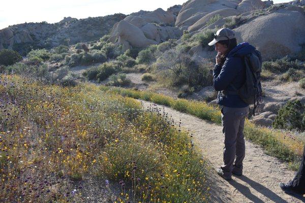 Our wonderful guide Tara knows the Latin names of plants in the Park