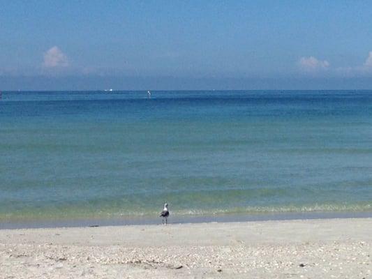 Beach at hotel