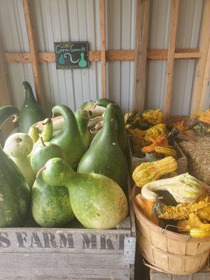 Gourds!