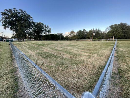 Large dog field.