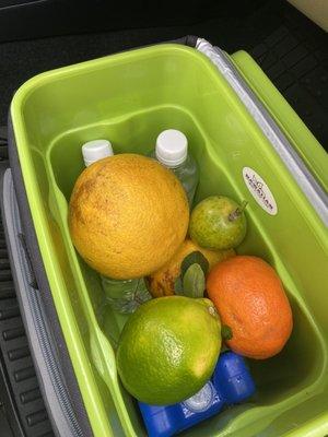 Fresh fruit and cold water waiting in the car! And an ice chest for our travels!