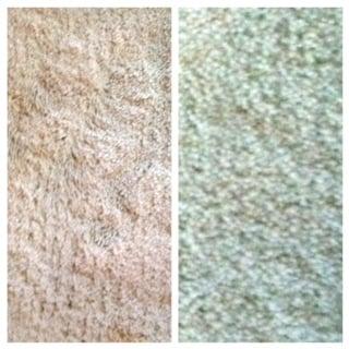 Before and after of carpet that had not been cleaned in 20 years