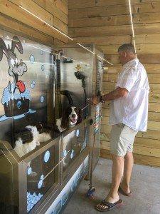 Rockport, TX The Dog Wash This is Levi enjoying his bath located inside the Pirate Coin Plaza