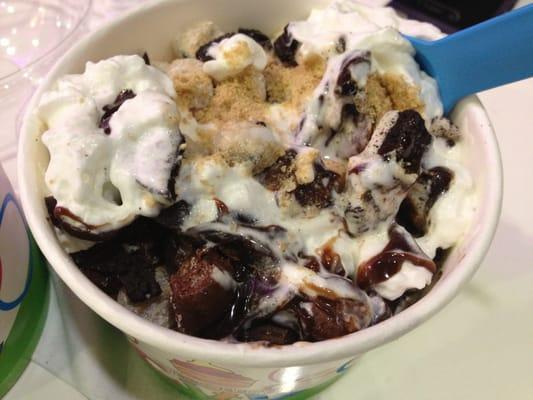 Cheesecake Flavor Fro-Yo (Oreo Pieces, Reese's Pieces, Hot Fudge, Whip Cream, Graham Cracker Crust, Cookie Dough Pieces)