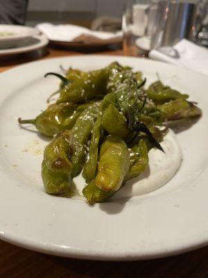 shishito peppers