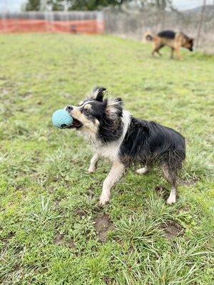 Libby mid-catch!