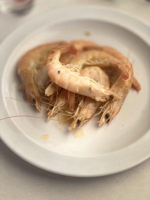 Shrimp By You