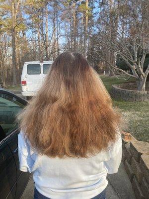 Before image of my hair