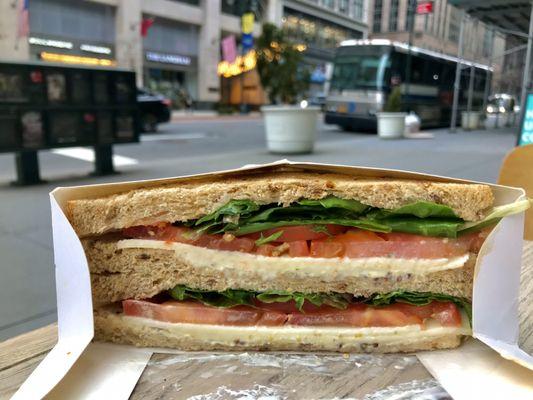 Cheddar & Tomato Sandwich and ambiance