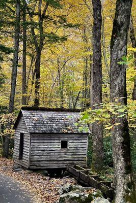 Roaring Fork Motor Nature Trail