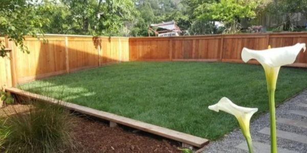 Lawn and fence