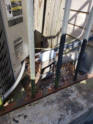 This is the pellet stove flue exhausting directly behind the condensing unit. The condensing unit (Heat pump)