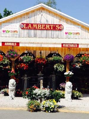 Front entrance Lambert's Garden Center