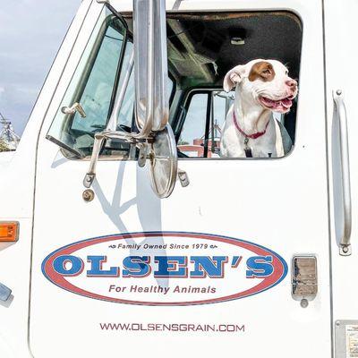 Olsen's Grain