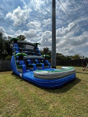 Dual lane tropical water slide