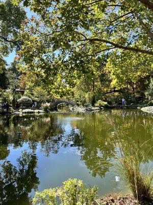 Japanese Garden