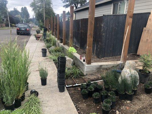 Wood fence and wire rock panels