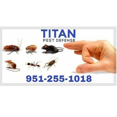 Titan Pest Control is a local and family owned company dedicated to managing the seasonal invaders and unwanted pests. Call 951-255-1018.