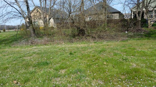 Need pruning and limb pic up in this area and in my yard as well as mowing front and back yards twice a month.