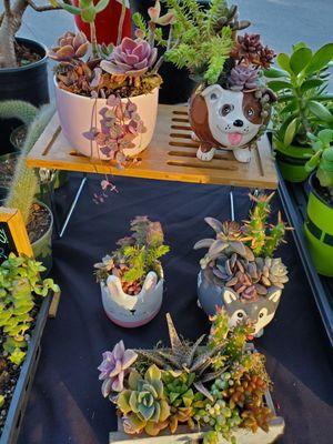 Vendors/ plants/merchandise