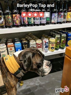 You can peruse all the beer like this adorable doggo here