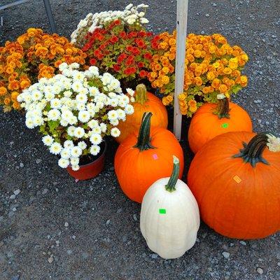 Wayne County Farmers Market