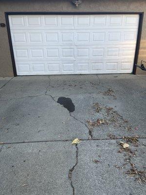 Evidence of the oil in my driveway