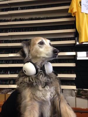 Rusty checking out a little Deep Purple.