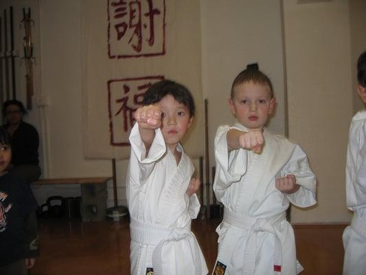 Tiny Tigers Karate Class