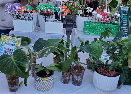 Vendors/ plants/merchandise