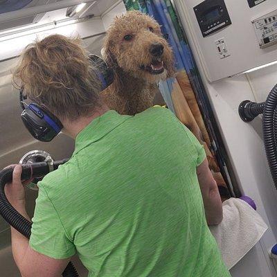 Yup, that's me and my super smart friend Austin getting dried.