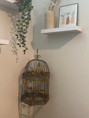 Butterflies in a cage