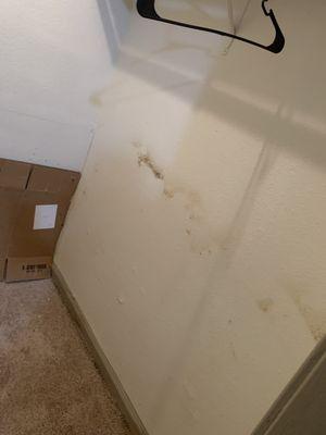 Mold *   last picture was when we reported the issue . ‍