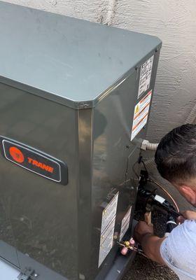 Trane unit purchased from Ferguson